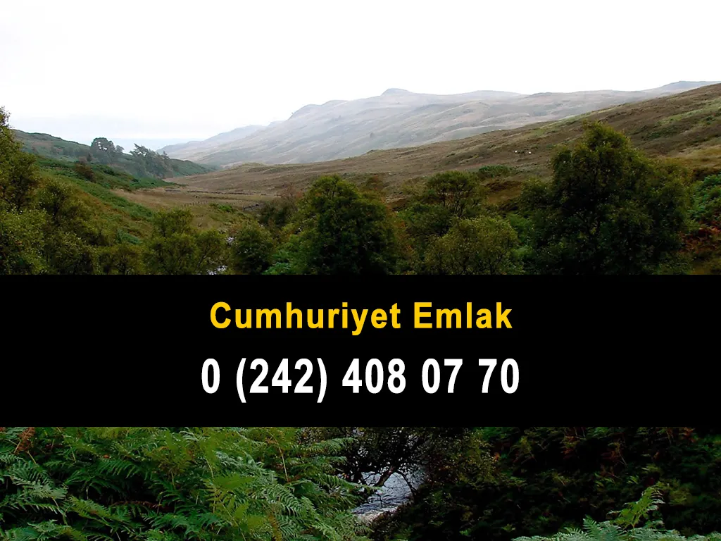 Cumhuriyet Emlak